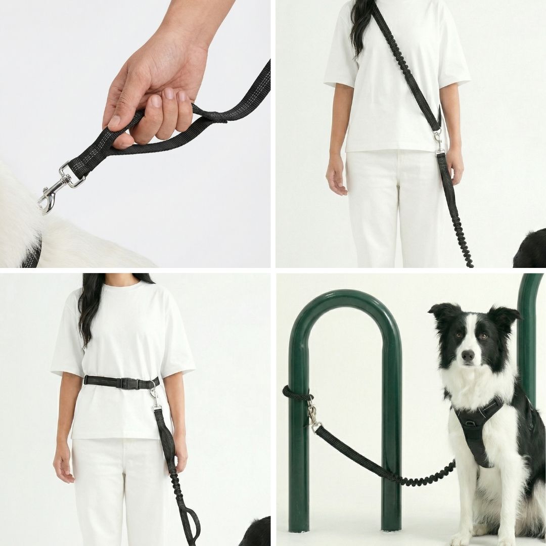 hands free dog leash