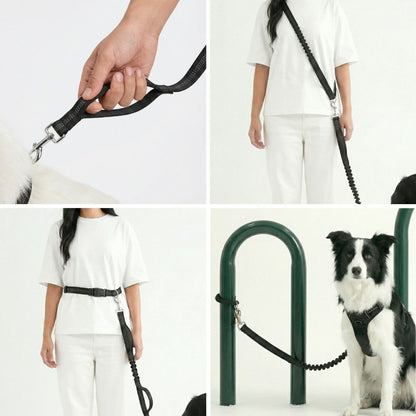 hands free dog leash
