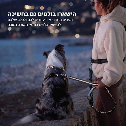 hands free dog leash