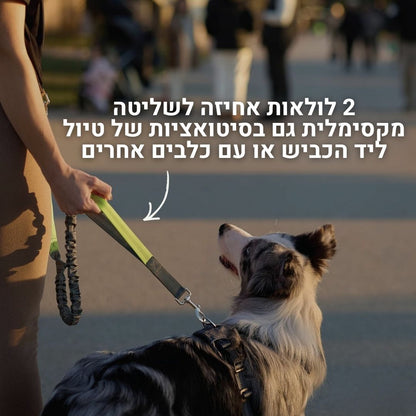 hands free dog leash