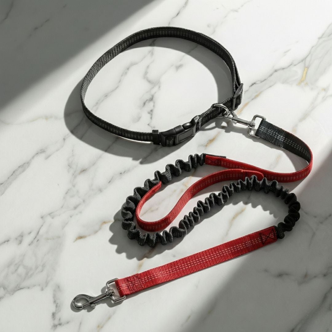 hands free dog leash