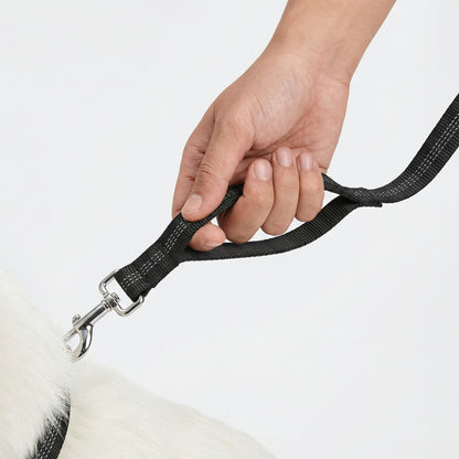 hands free dog leash