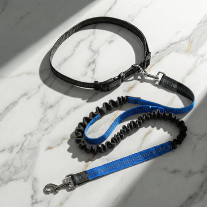 hands free dog leash