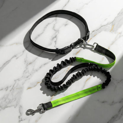hands free dog leash