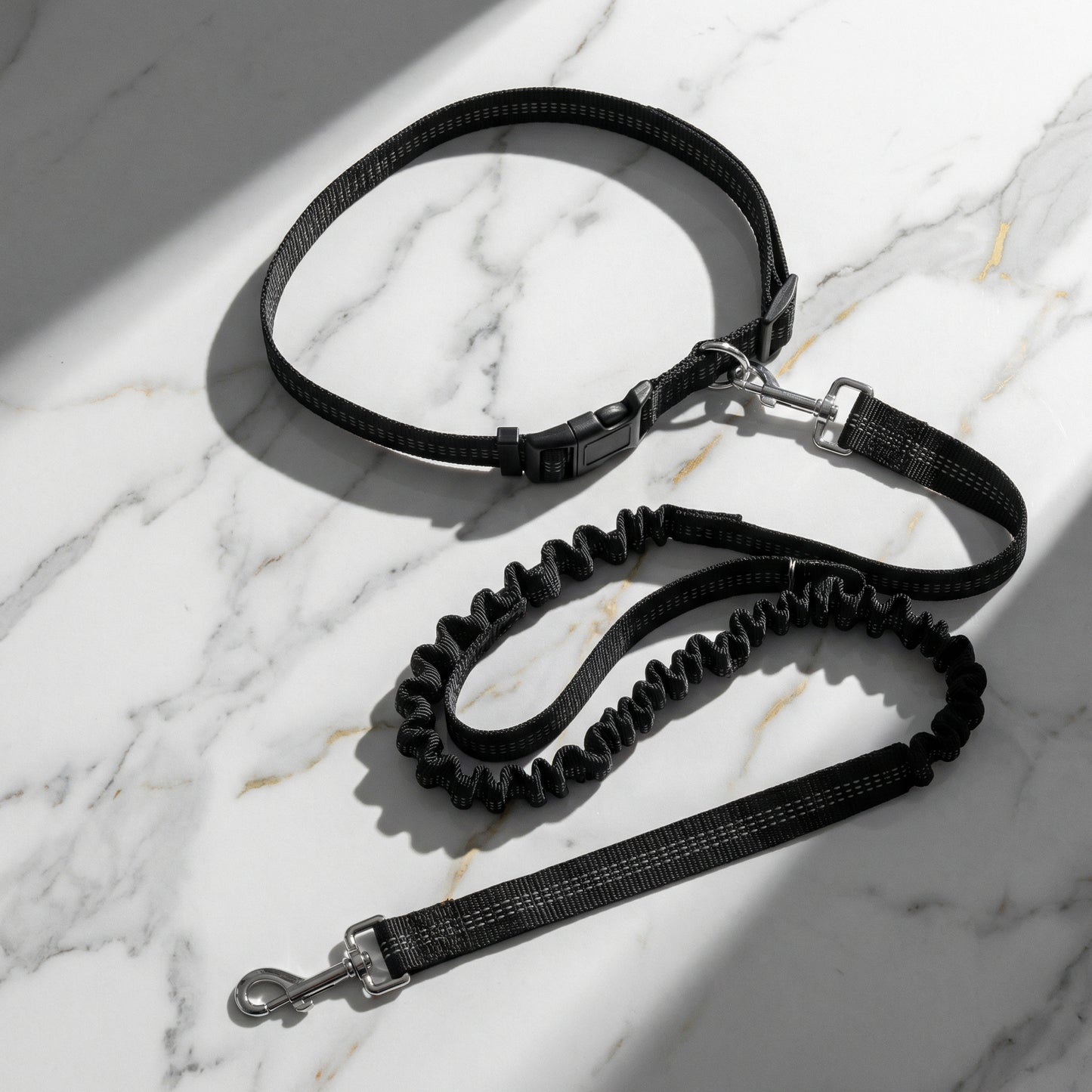 hands free dog leash