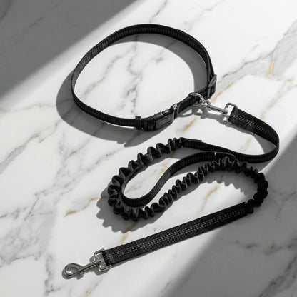 hands free dog leash