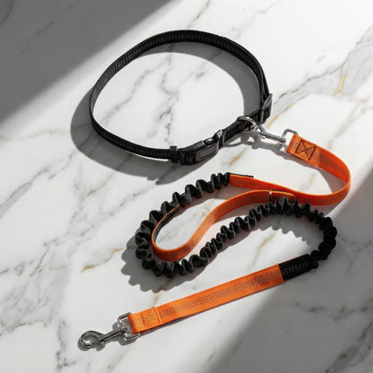 hands free dog leash