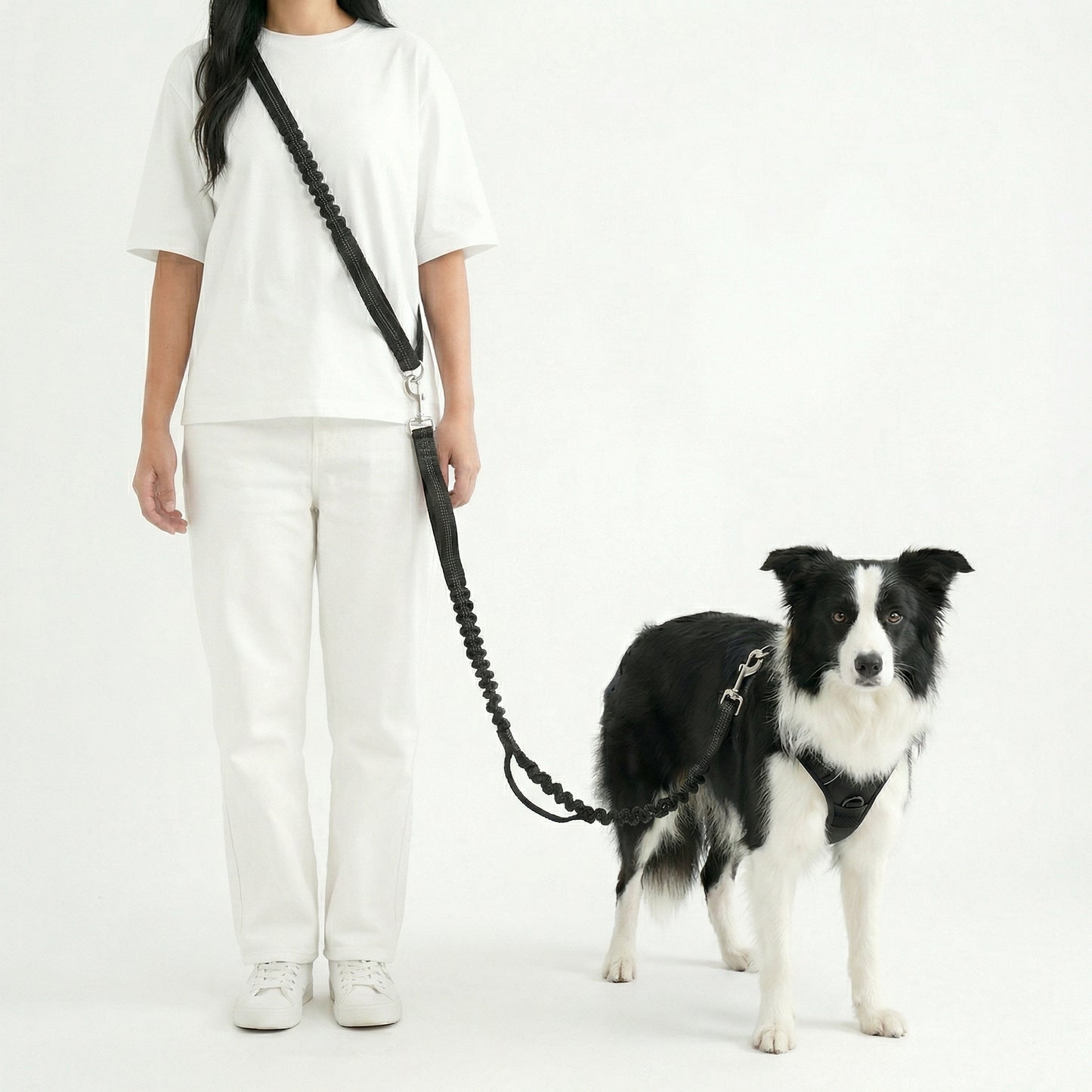 hands free dog leash