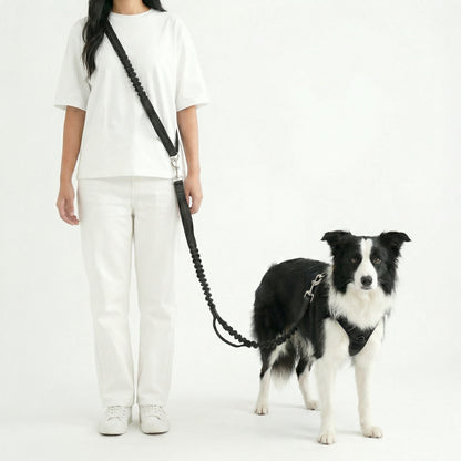 hands free dog leash