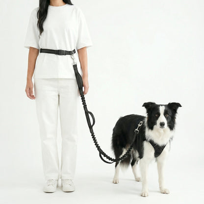 hands free dog leash